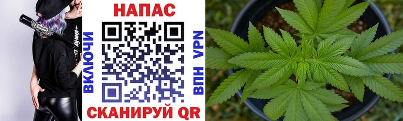 Марихуана OG Kush Людиново